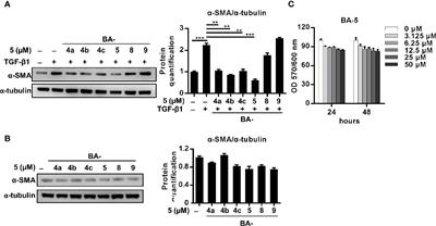 Antifibrotic Effects of a Barbituric Acid Derivative on Liver Fibrosis by Blocking the NF-κB Signaling Pathway in Hepatic Stellate Cells